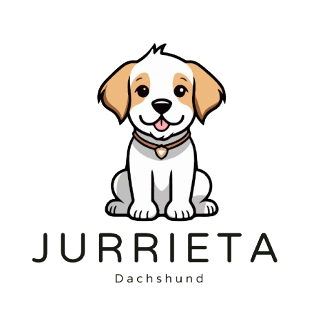 Jurrieta Dachshund